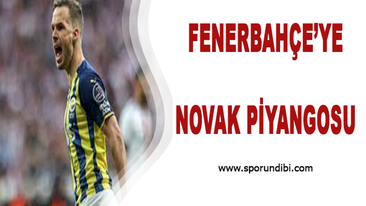 Fenerbahçe'ye Novak piyangosu!