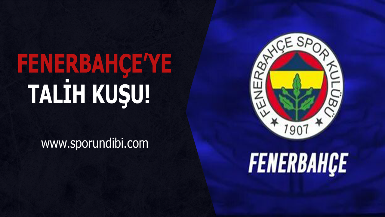 Fenerbahçe'ye talih kuşu!