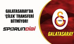 Galatasaray'da 'çilek' transferi bitmiyor!