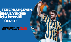 Fenerbahçe'nin İsmail Yüksek için istediği ücret!